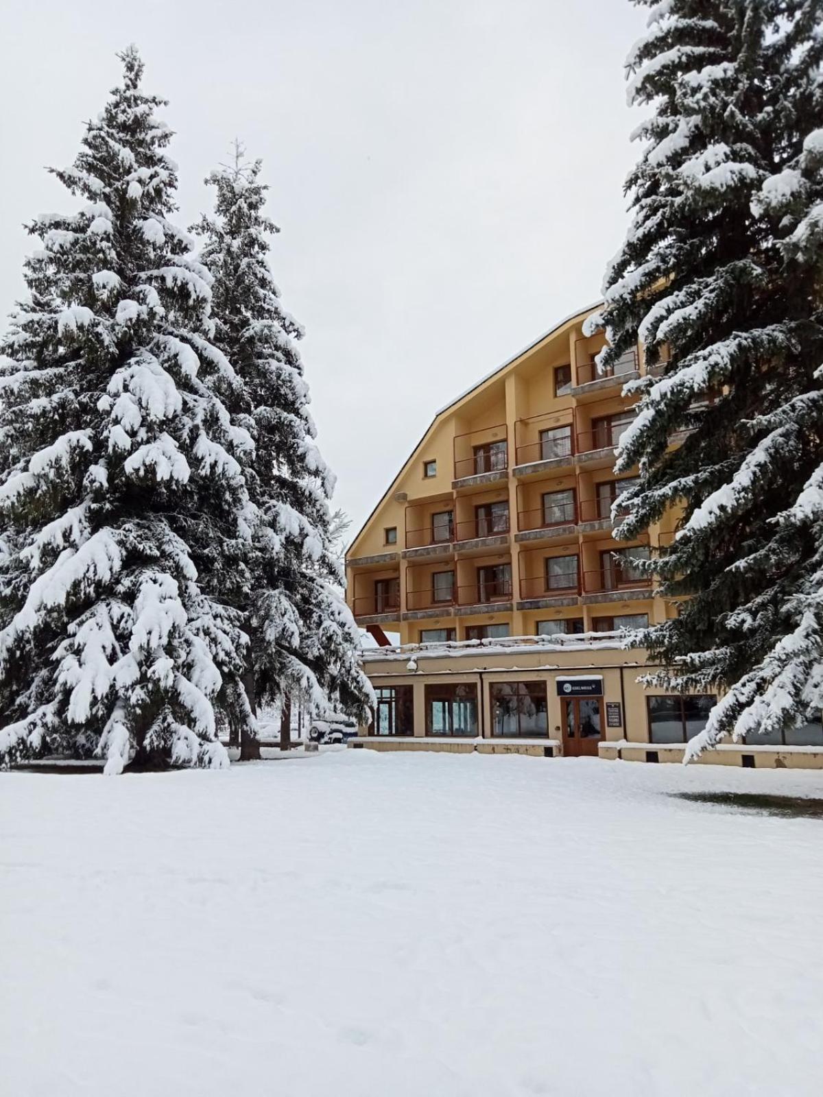 Apartamentos Snoe Edelweiss เซร์แลร์ ภายนอก รูปภาพ